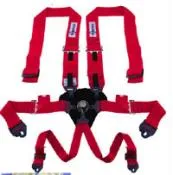 Teamtech Red 6 Pt  Camlock harness