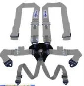 Teamtech Silver 6 Pt Camlock harness